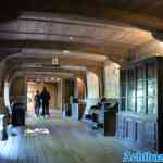 blijdorp-31-08-2022-460.jpg