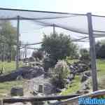 blijdorp-31-08-2022-511.jpg