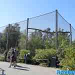 blijdorp-31-08-2022-515.jpg