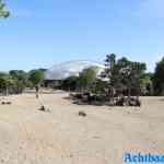 blijdorp-31-08-2022-535.jpg
