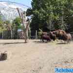 blijdorp-31-08-2022-538.jpg