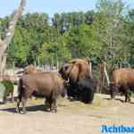 blijdorp-31-08-2022-541.jpg