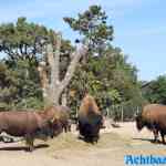 blijdorp-31-08-2022-542.jpg
