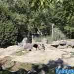 blijdorp-31-08-2022-547.jpg
