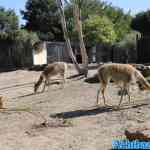 blijdorp-31-08-2022-551.jpg