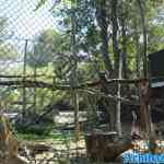 blijdorp-31-08-2022-571.jpg