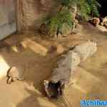 blijdorp-31-08-2022-611.jpg
