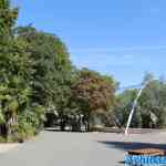 blijdorp-31-08-2022-631.jpg