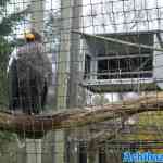 blijdorp-02-12-2022-134.jpg