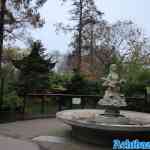 blijdorp-02-12-2022-254.jpg