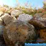 wildlands-09-10-2018-0303.jpg