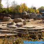 wildlands-09-10-2018-0345.jpg