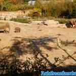 wildlands-09-10-2018-0460.jpg
