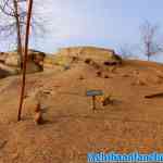 wildlands-02-03-2019-0133.jpg
