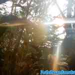 wildlands-02-03-2019-0164.jpg