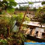wildlands-02-03-2019-0215.jpg