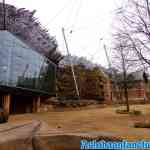 antwerpen-zoo-24-11-2018-0075.jpg