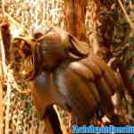 antwerpen-zoo-24-11-2018-0351.jpg