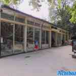 antwerpen-zoo-05-07-2022-057.jpg