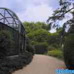 antwerpen-zoo-05-07-2022-086.jpg