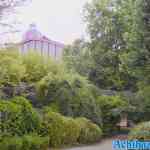antwerpen-zoo-05-07-2022-153.jpg
