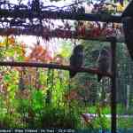 img-6750.jpg