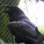 img-6752.jpg