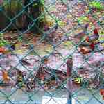 img-6763.jpg