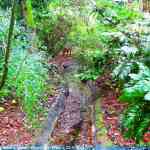 img-6783.jpg