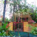 img-6821.jpg