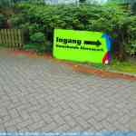 img-0718.jpg