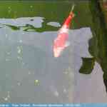 img-0724.jpg