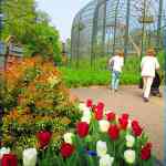 img-0728.jpg