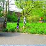 img-0729.jpg