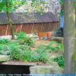 img-0733.jpg