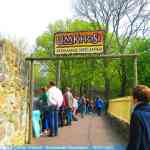 img-0736.jpg