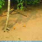 img-0738.jpg