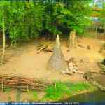 img-0739.jpg