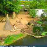 img-0740.jpg