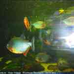 img-0746.jpg