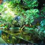 img-0749.jpg