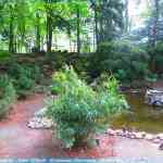 img-0753.jpg
