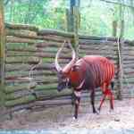 img-0755.jpg