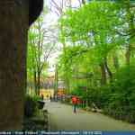 img-0757.jpg
