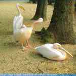 img-0762.jpg