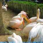 img-0763.jpg