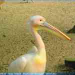 img-0764.jpg
