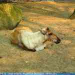 img-0766.jpg