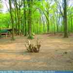 img-0767.jpg