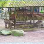 img-0769.jpg